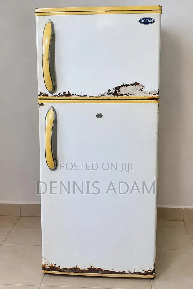 Ocean Double-Door Refrigerator for Sale · Photo 1