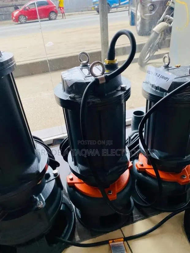 High Capacity Wastewater Handling Leo 5.5hp Pump · Photo 1