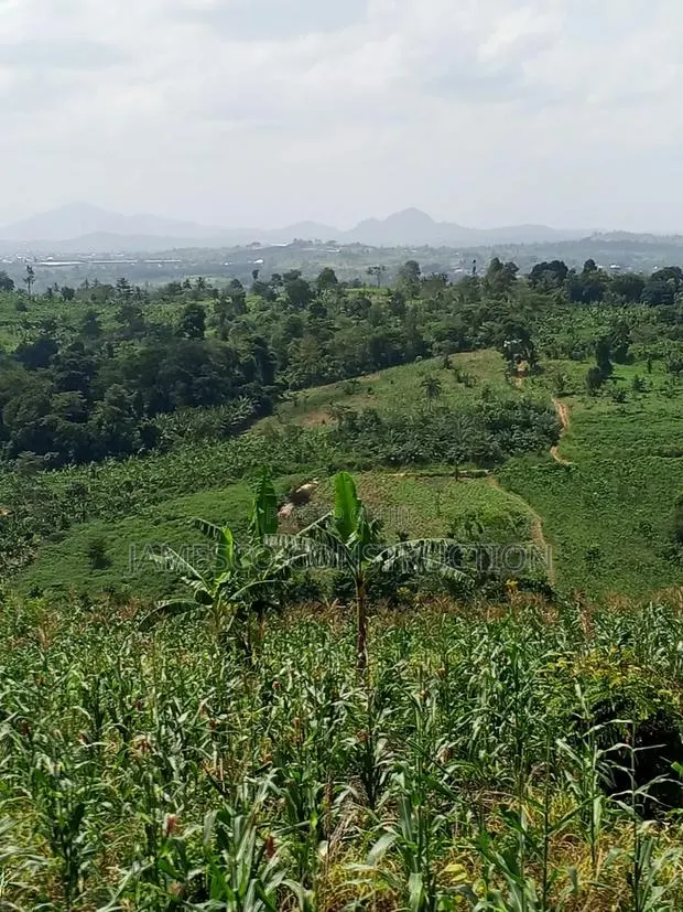 Farmland for Sale at Asuboi · Photo 1
