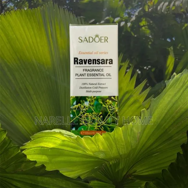 Ravensara Plant Essential Oil · Photo 1