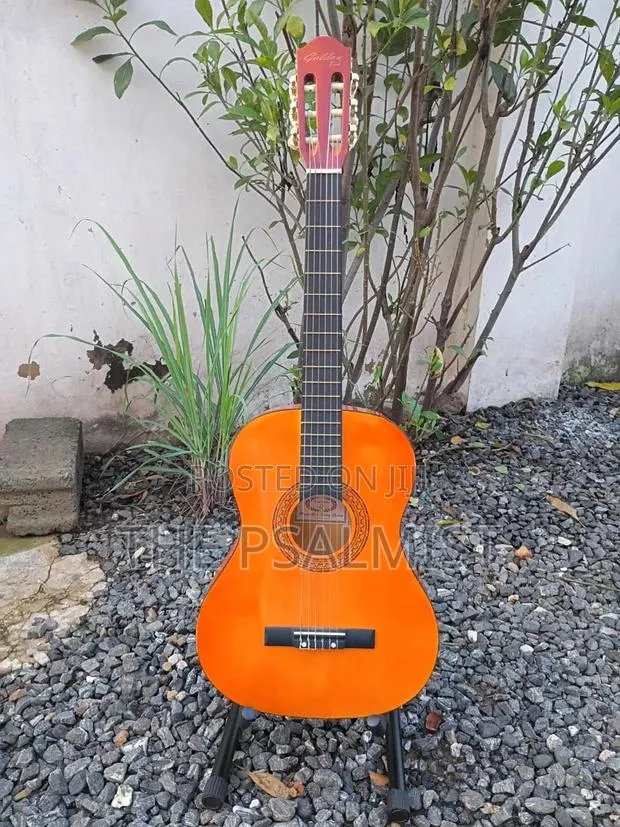 Golden Ton FSC Wooden Guitar 3/4 Size · Photo 1