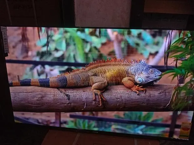 55" Sigma Unforgettable Led Frameless Tv · Photo 1