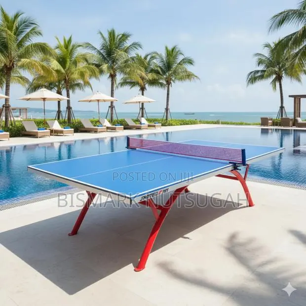 Modern Outdoor Table Tennis · Photo 1