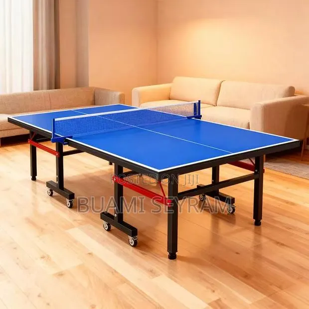 Table Tennis With Wheel · Photo 1