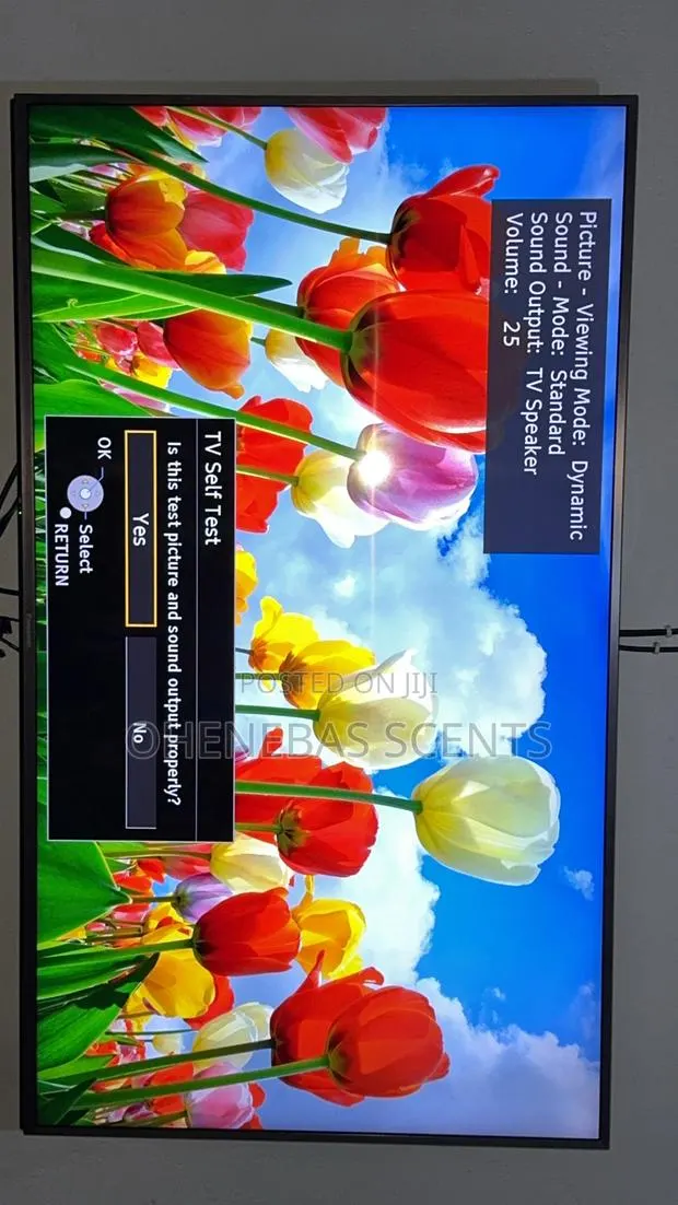 Panasonic Viera 55cx700 Series Smart Tv · Photo 1