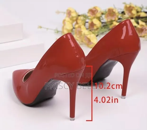 Pointed Toe Stiletto Heels- Women Shoes · Photo 1