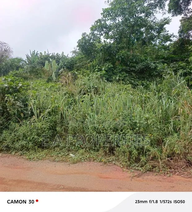 Land for Sale 30 Acres Aburi Ahwerase · Photo 1