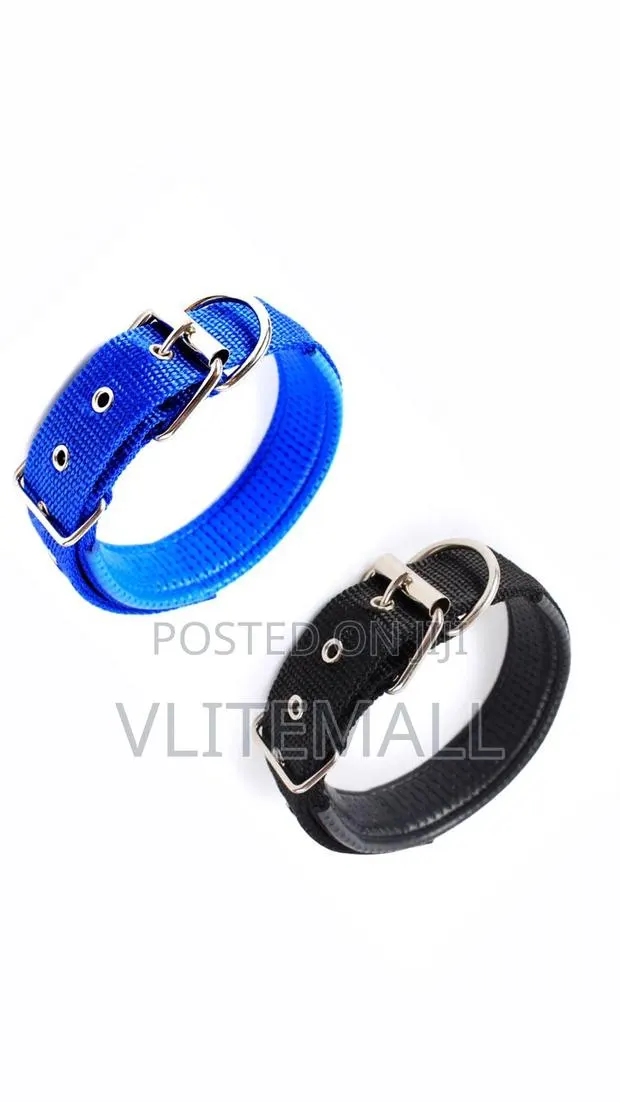 Dog Collar Size 2.5cm X 58cm · Photo 1