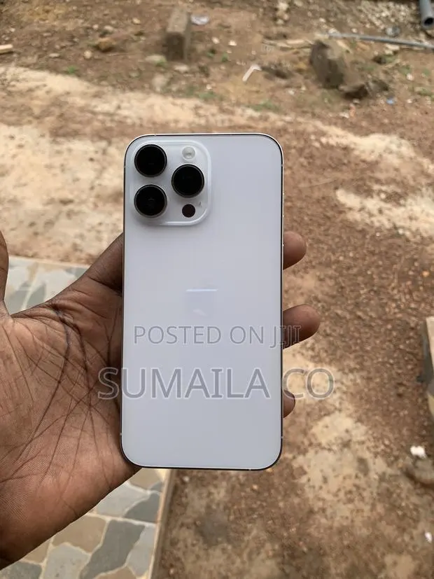 Apple iPhone 14 Pro Max 256 GB Silver · Photo 1