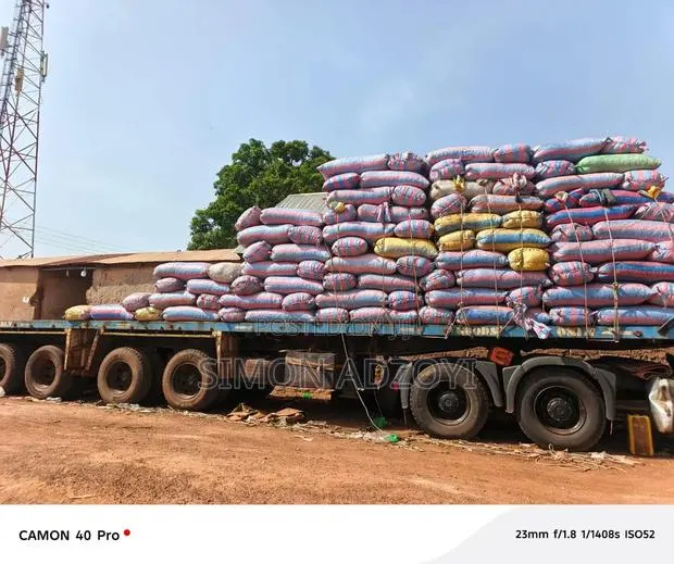 Shea Nuts for Sale · Photo 3