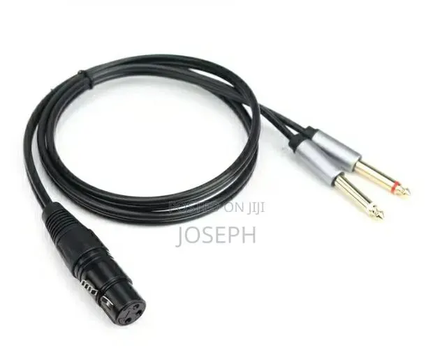 XLR to Double Jack Cable · Photo 1