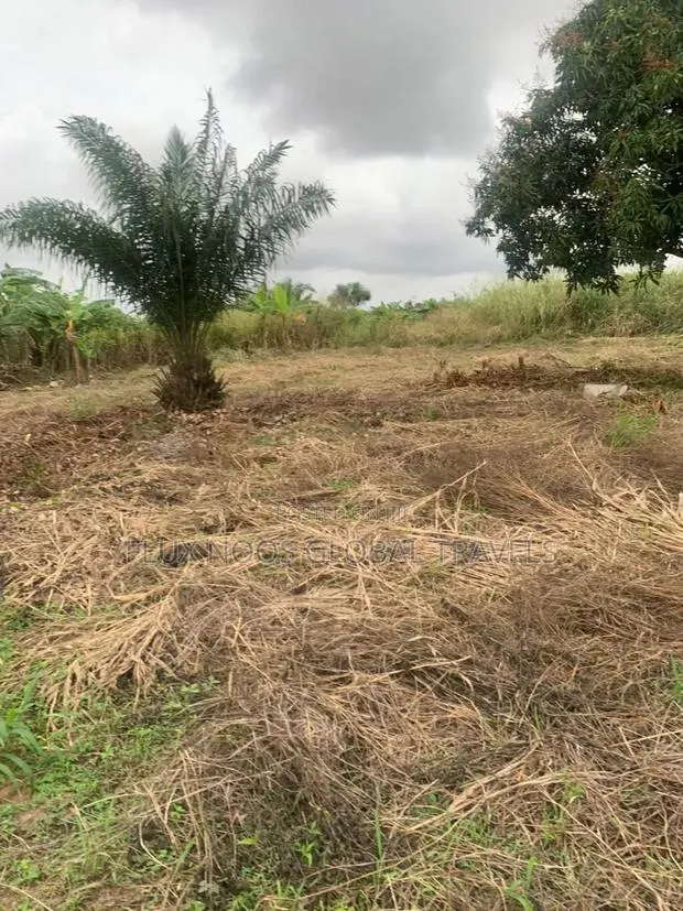 Registered Litigation Free Plots of Land for Sale. · Photo 1