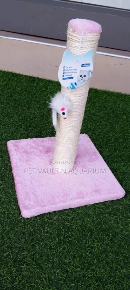 Cats Scratch Post · Photo 1