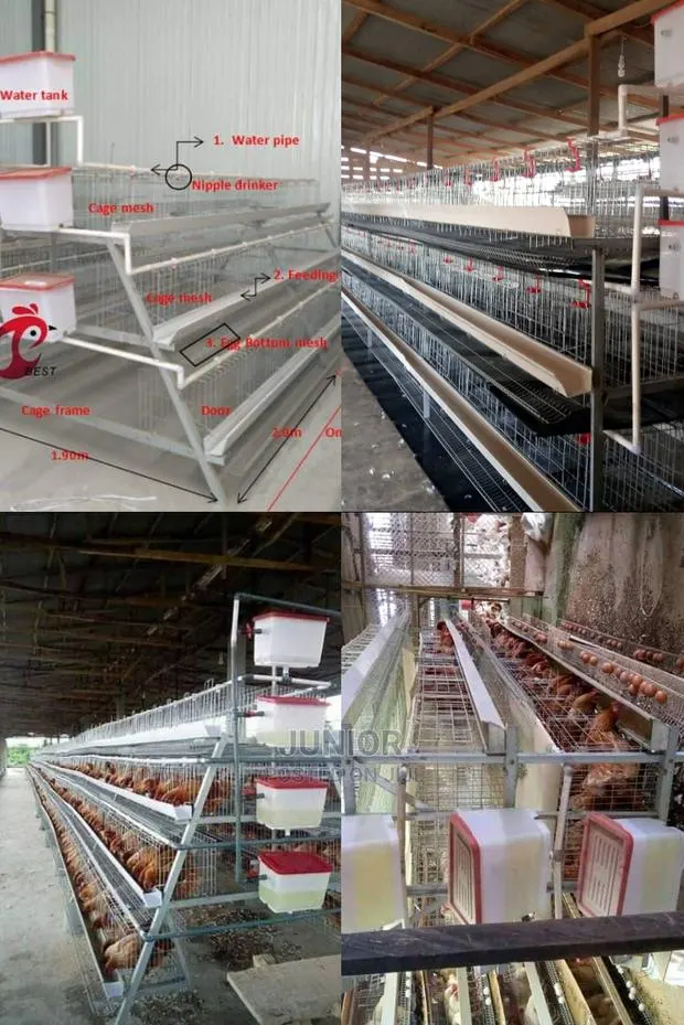 Strongest Chicken Cages · Photo 1