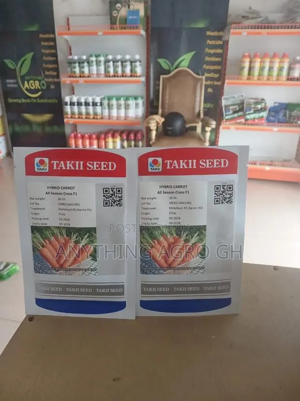 Hybrid Carrot (All Season Cross F1) · Photo 1