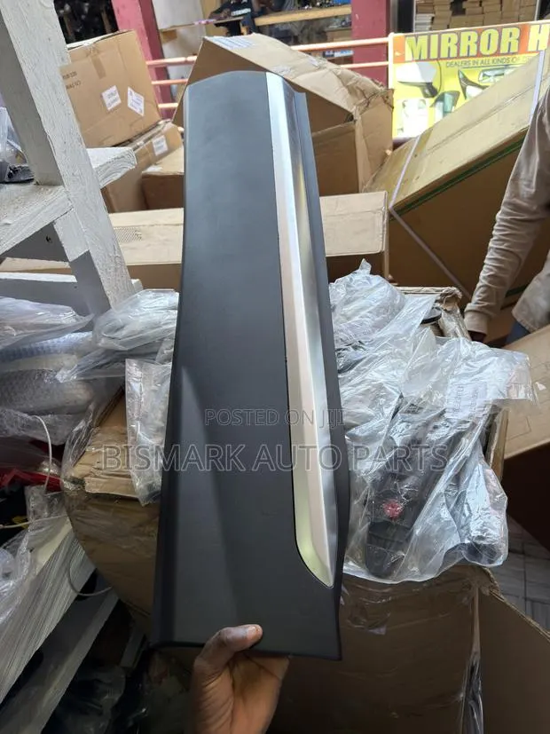 Hyundai Santafe 2019 2020 2021 2022 2023 Door Moulding · Photo 1