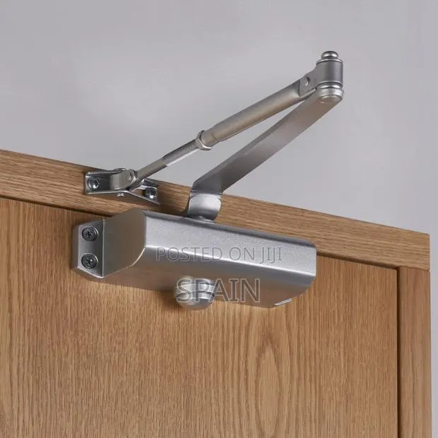Original Door Closers With Pivot Door Closer · Photo 1