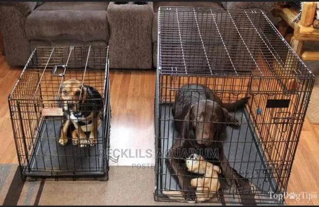 Large Cage for Dogs and Cat · Photo 1