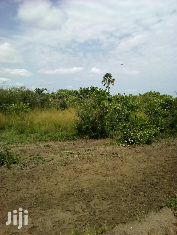 20.000 Acres of Farm Land for Sale · Photo 2