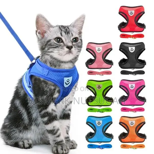 Cat and Dog Chain for Sale · Photo 1