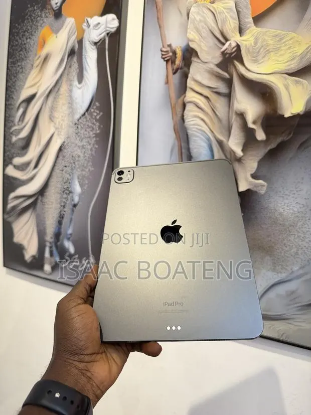 Apple iPad Pro 11 (2024) 256 GB Gray · Photo 1