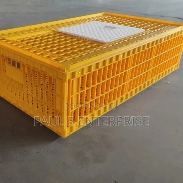 Big Size Transport Basket · Photo 3