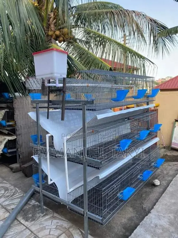 Rabbit Cage · Photo 1