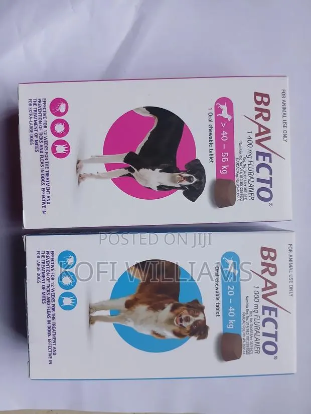 Bravecto Ticks and Mites and Parasite Control · Photo 1
