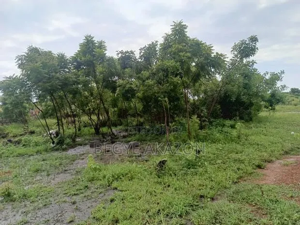 5 Plots of Roadside Land for Sale at Adenta · Photo 1