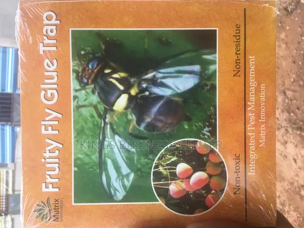 Fruit Fly Glue Trap · Photo 1