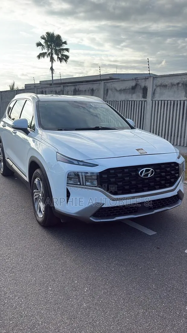 Hyundai Santa Fe Limited 2023 White · Photo 1