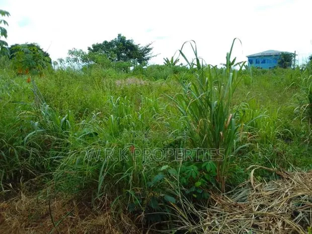 2 Plots of Land for Sale · Photo 1