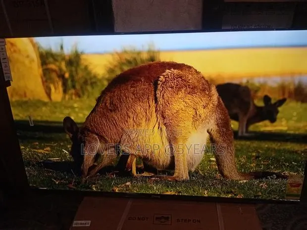 55" Sigma Darling Frameless Led Tv. · Photo 1