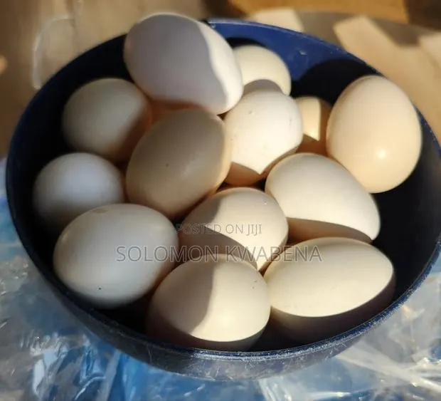 Local Organic Chicken Eggs · Photo 1