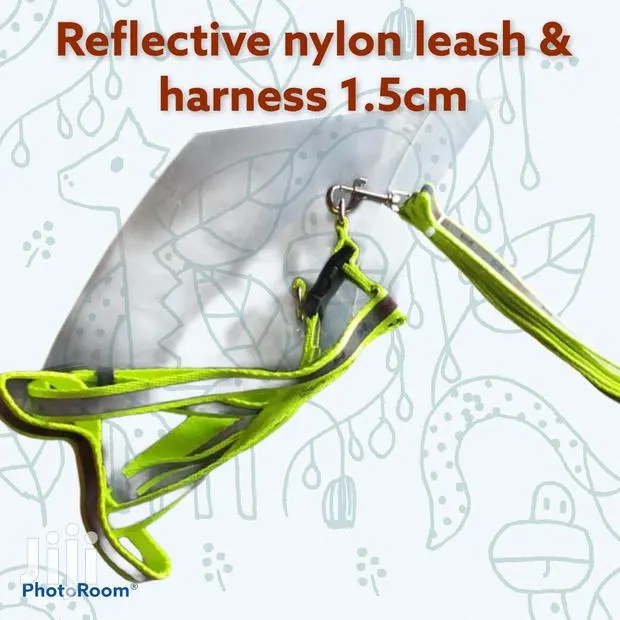 Reflective Nylon Leash and Harness · Photo 1