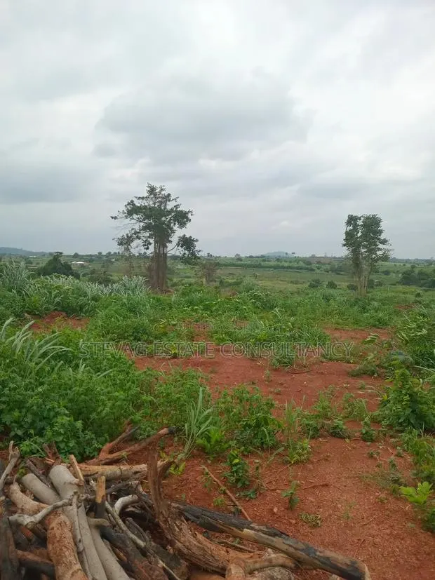 Alpha Estate Land for Sale Kweikrom · Photo 3