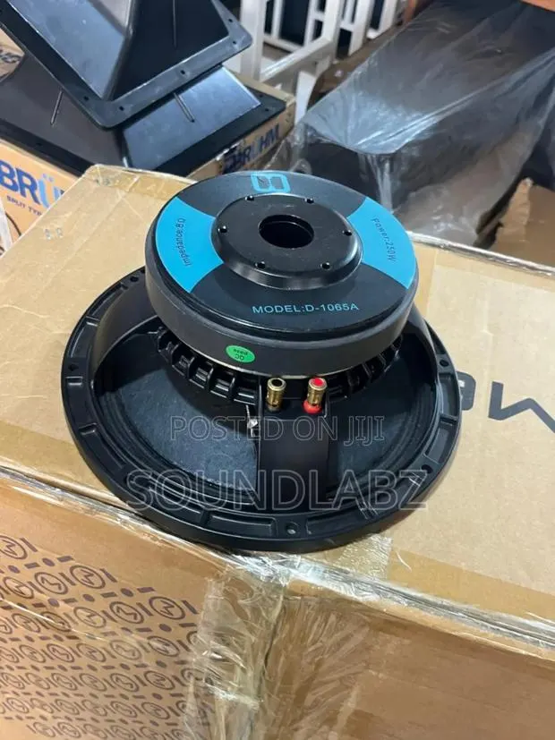 10inches Line Array Double Magnet Naked Speaker (250w) · Photo 1