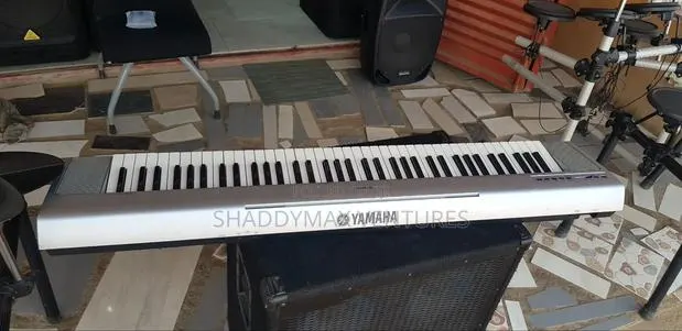 Yamaha Portable Grand Np-30 · Photo 1