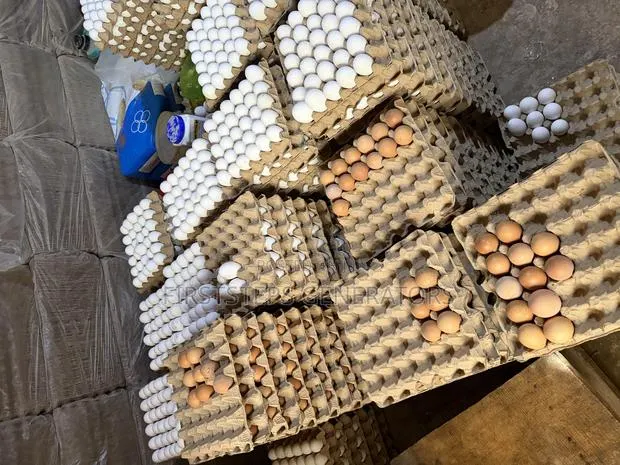 Fresh Farm Eggs At Wholesale Price Pokuase Eggs Organic Egg · Photo 1