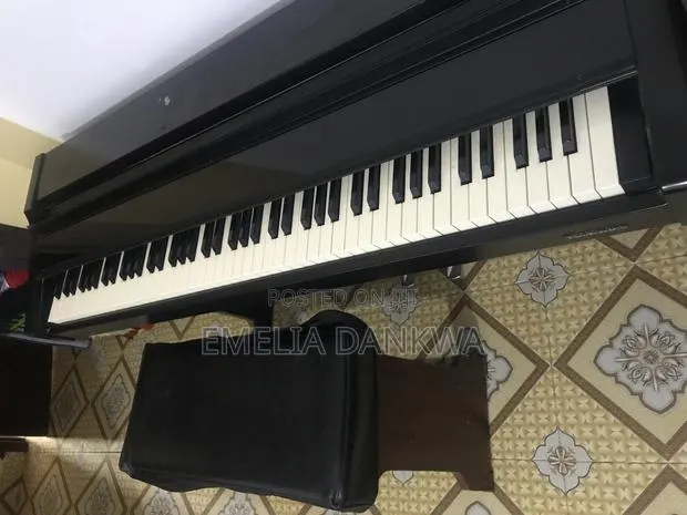 Technic Digital Piano Px20 · Photo 1