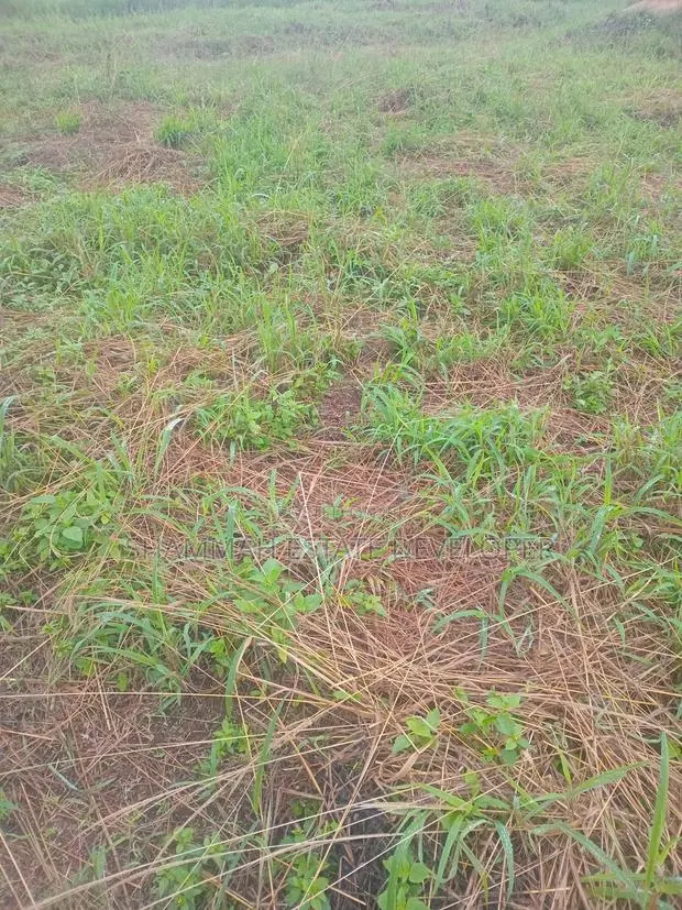 Farmland for Sale · Photo 1