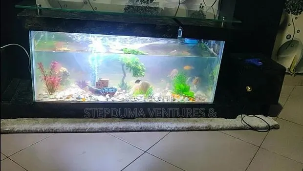 5ft+ Aquarium Tv Stand With 3 Free Fishes Feed · Photo 5