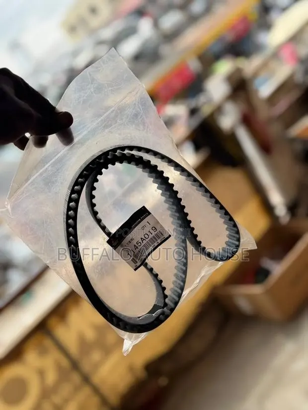 Mistibushi Timing Belt · Photo 1