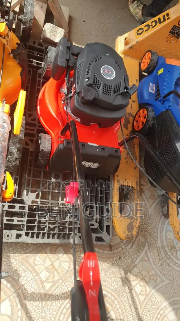 Gasoline Lawn Mower · Photo 3