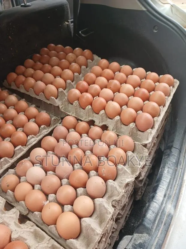 Fresh Eggs · Photo 1