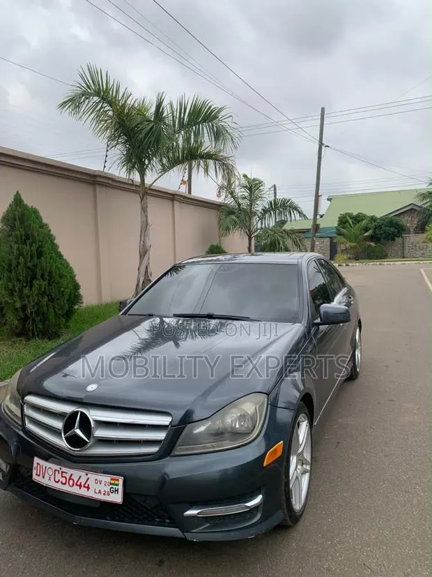 Mercedes-Benz C250 2014 Gray · Photo 1