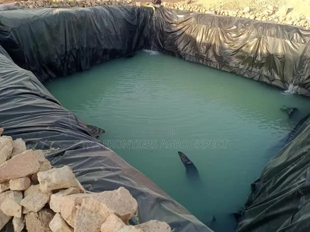 Dam With Hdpe Lining · Photo 1