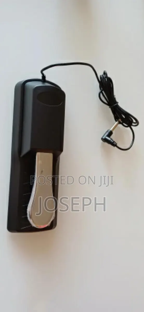 Sustain Piano Foot Pedal · Photo 1