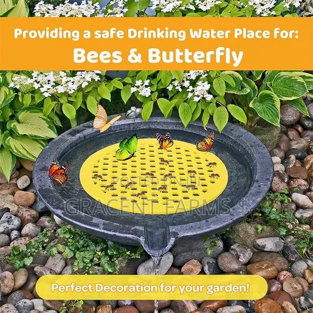 Floating Bee Island/Watering Station · Photo 1