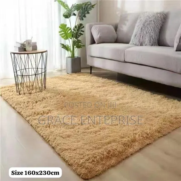 Ultra Modern and Affordable Fluffy Ligth Carpet · Photo 1